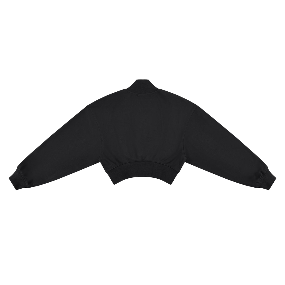 WIN Crop Mock Neck Sweatshirt
